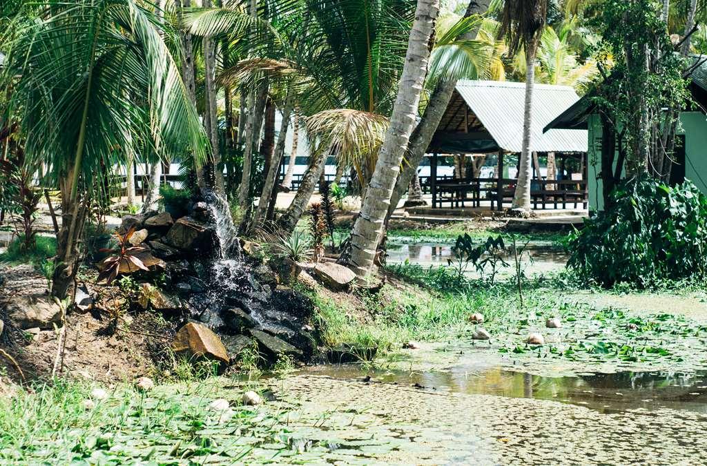 Overbridge River Resort Paramaribo Exteriér fotografie